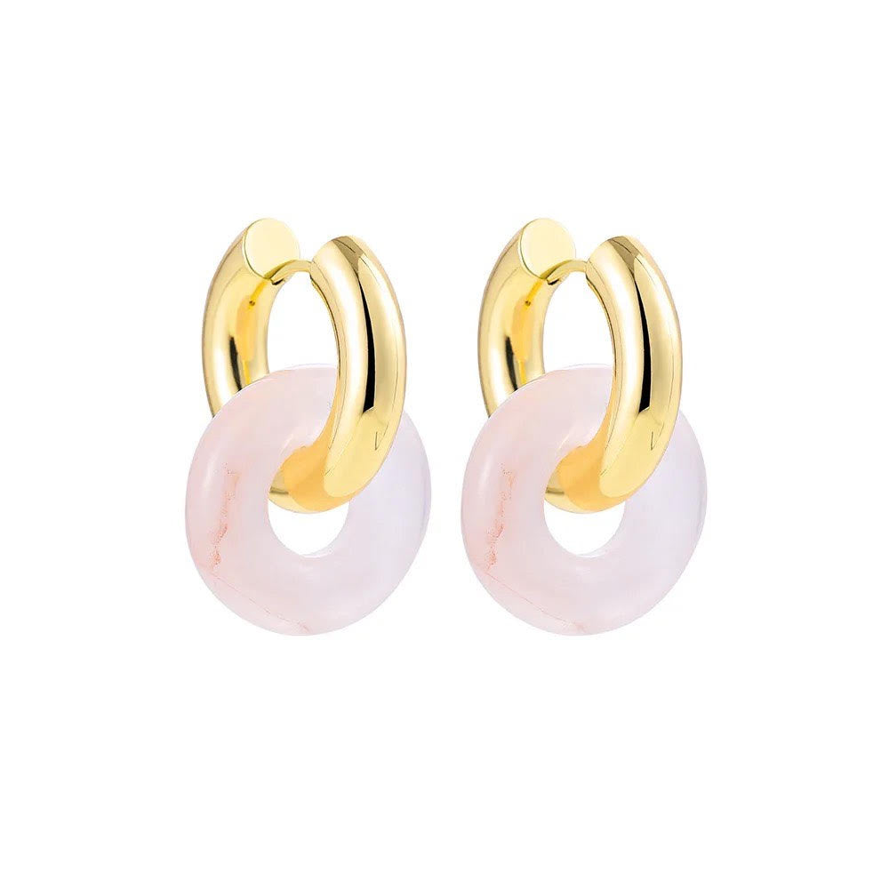 "Stainless Steel and Stone Earrings"