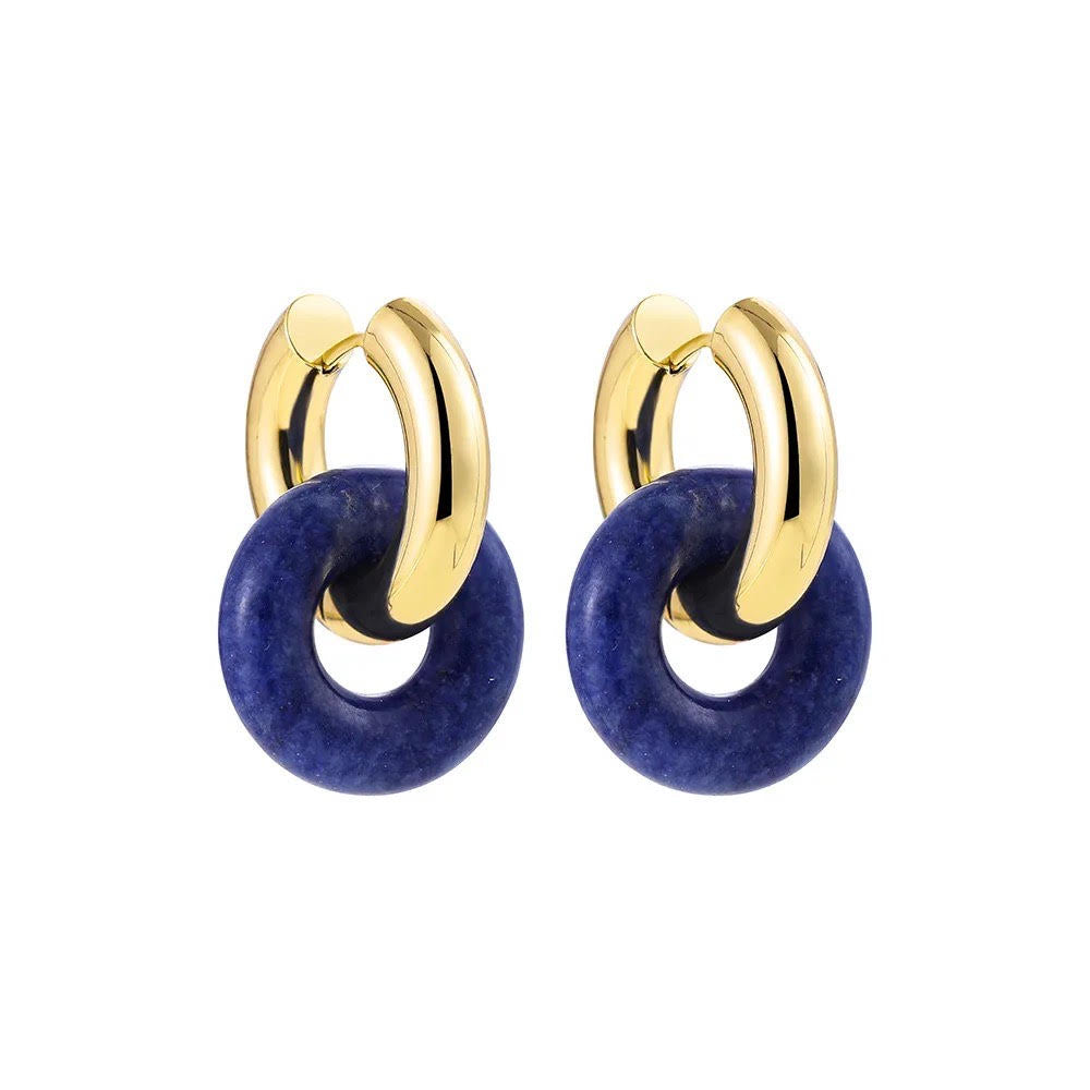 "Stainless Steel and Stone Earrings"